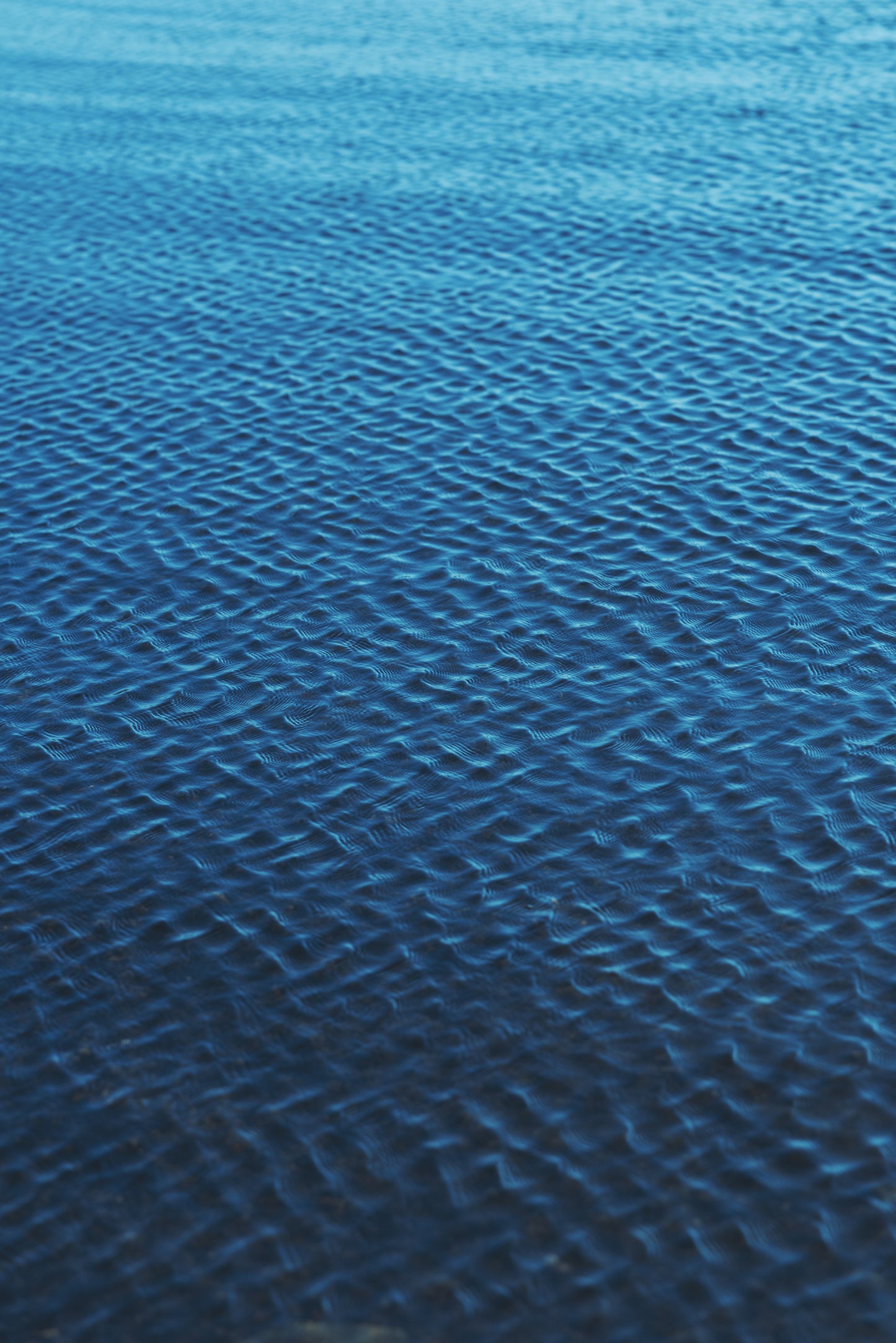 【3/6入荷】〈水〉 シルバー 水の揺らぎ ピアス