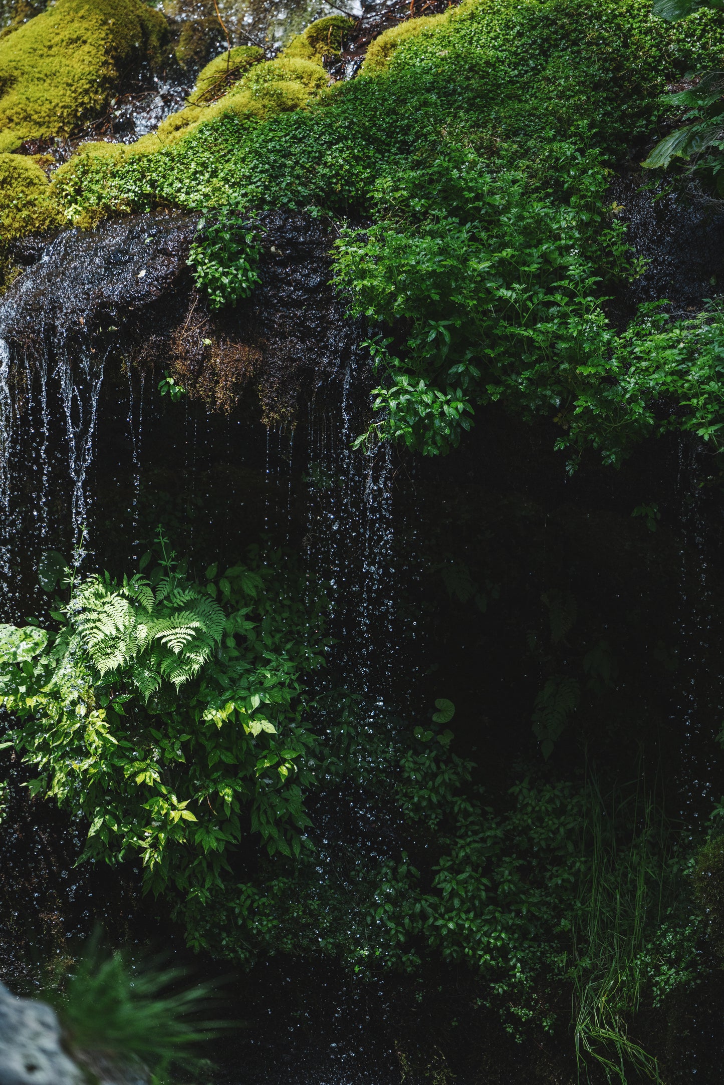 〈水〉 シルバー 水の雫 ボール チェーン ネックレス