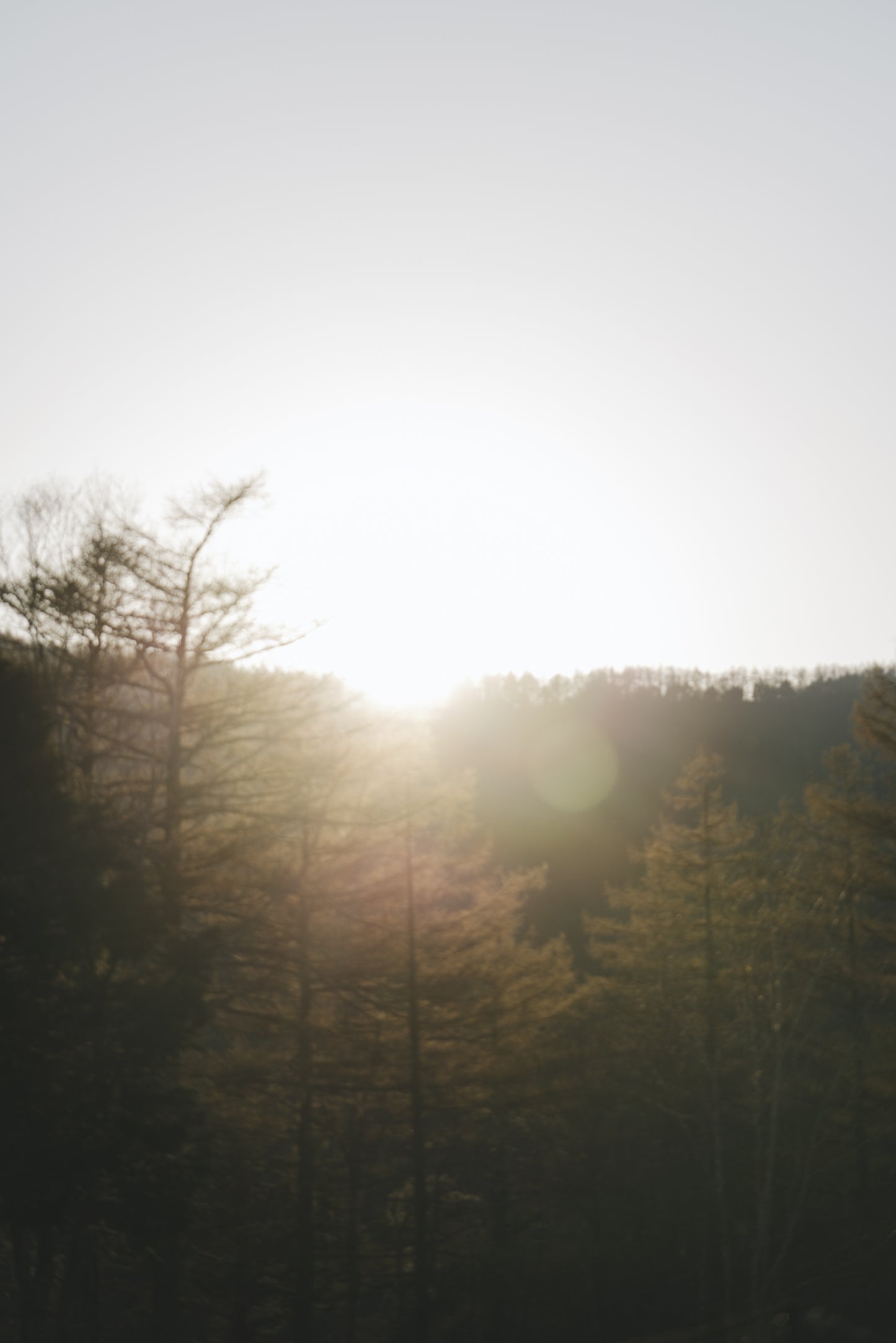 〈空〉 太陽 の光 ピアス