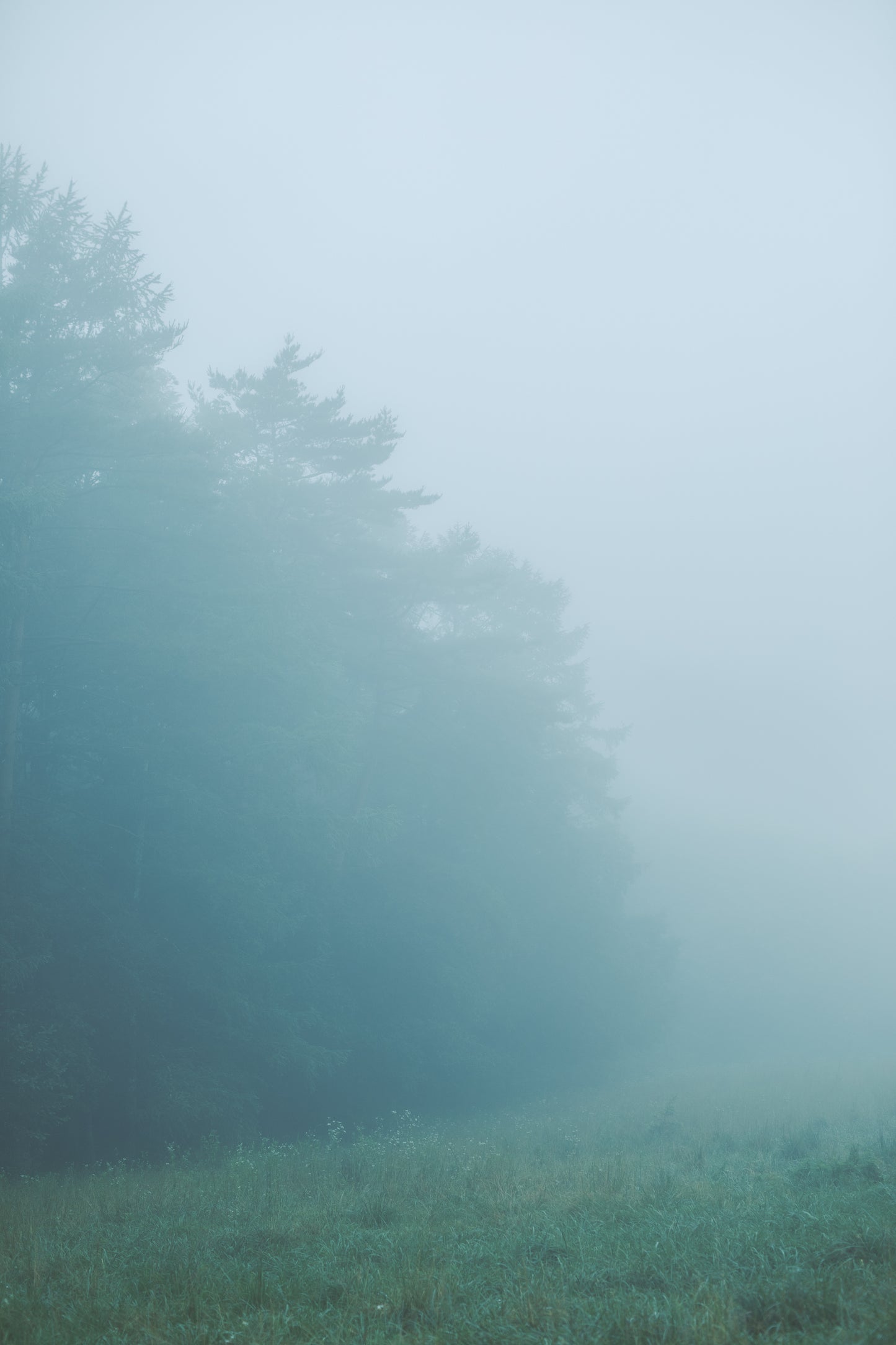 〈山〉 シルバー 霧 フープピアス