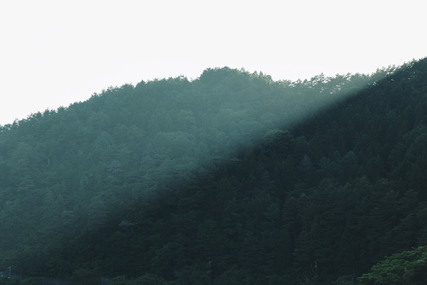 〈光と影〉 K10 レクタングル ネックレス